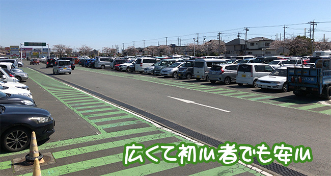 広くて初心者でも安心